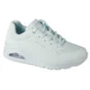 Basket à Lacets Skechers Frosty Kicks - Femme