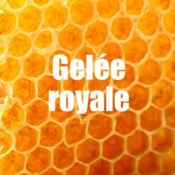 OVERSTIMS Coup De Fouet Citron - 4x30g -Sport Vêtements Magasin overstims coup de fouet citron 4x30g 4