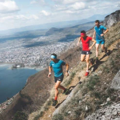 Pack X20 Barres Nutritionnelles Myrtille-Noisette-Bourgeon De Sapin 9 Pack X20 Barres Nutritionnelles Myrtille-Noisette-Bourgeon De Sapin -Sport Vêtements Magasin pack x20 barres nutritionnelles myrtille noisette bourgeon de sapin 4