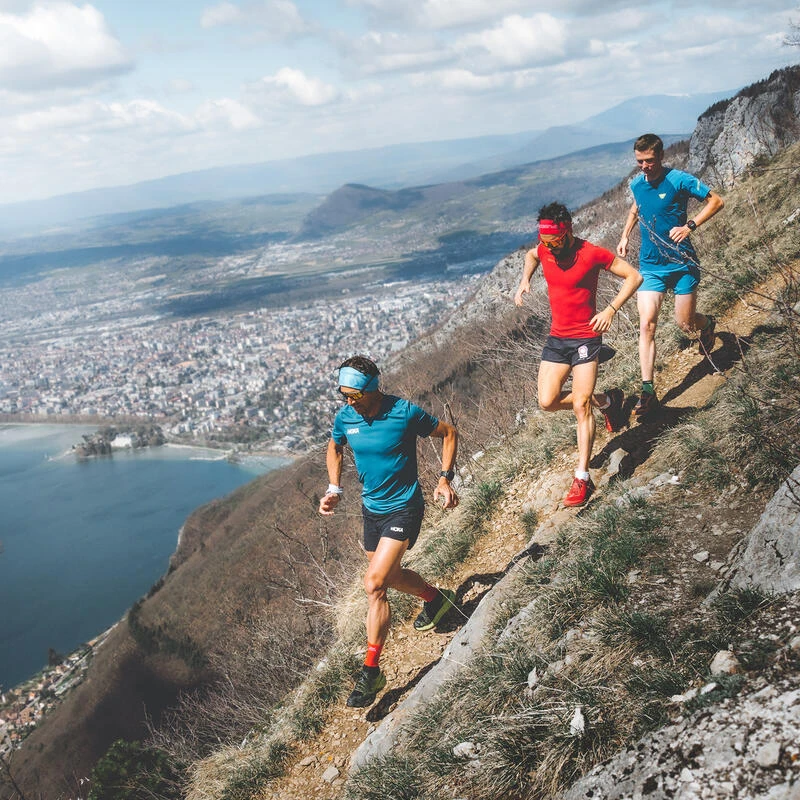 Pack X20 Barres Nutritionnelles Myrtille-Noisette-Bourgeon De Sapin 5 Pack X20 Barres Nutritionnelles Myrtille-Noisette-Bourgeon De Sapin – Image 5