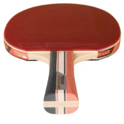 RAQUETTE DE TENNIS DE TABLE EN CLUB CARBON PRO LIGHT 5* -Sport Vêtements Magasin raquette de tennis de table en club carbon pro light 5 3