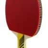 Raquette De Tennis De Table Karakal KT300